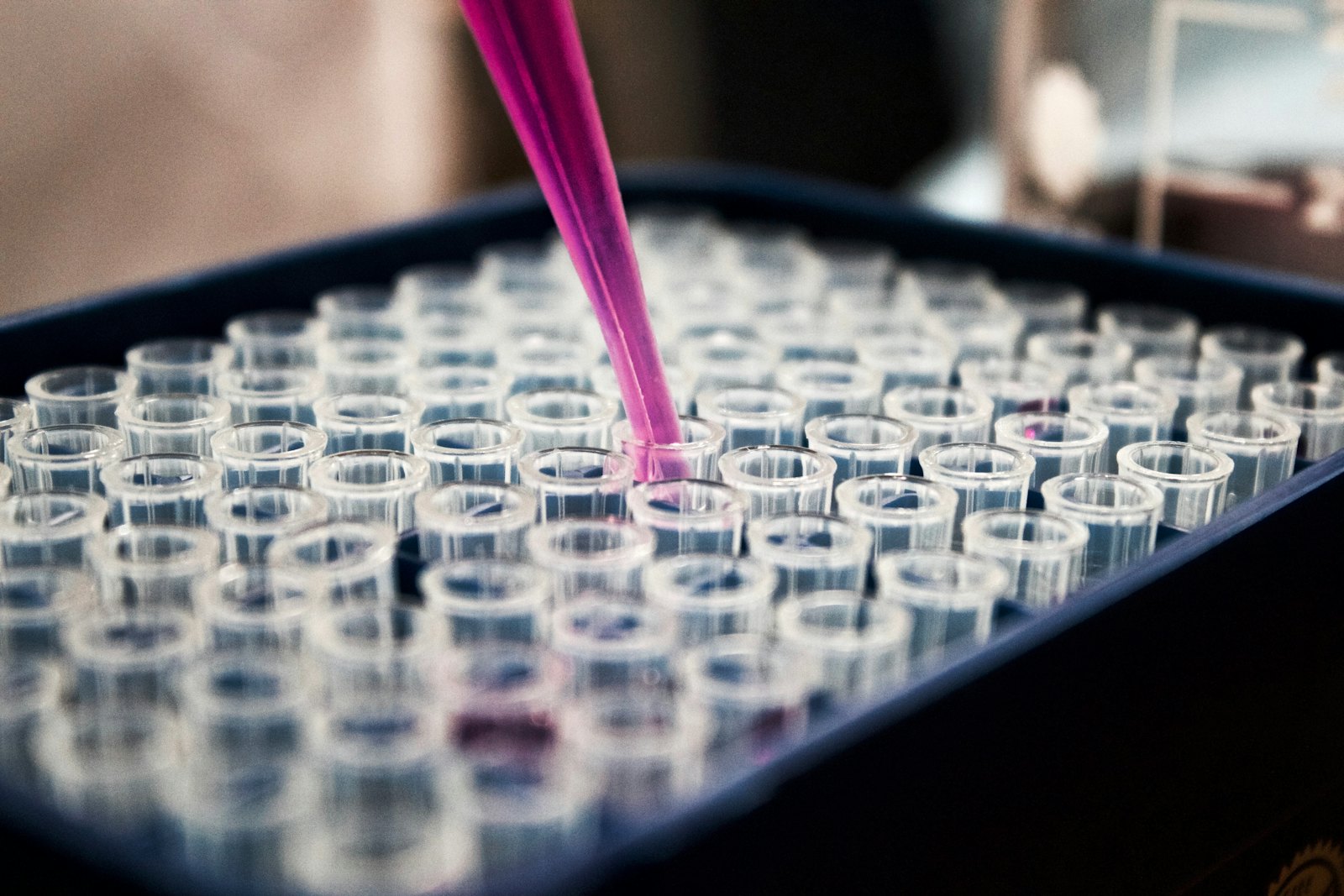 Pipetagem de amostras em microplaca